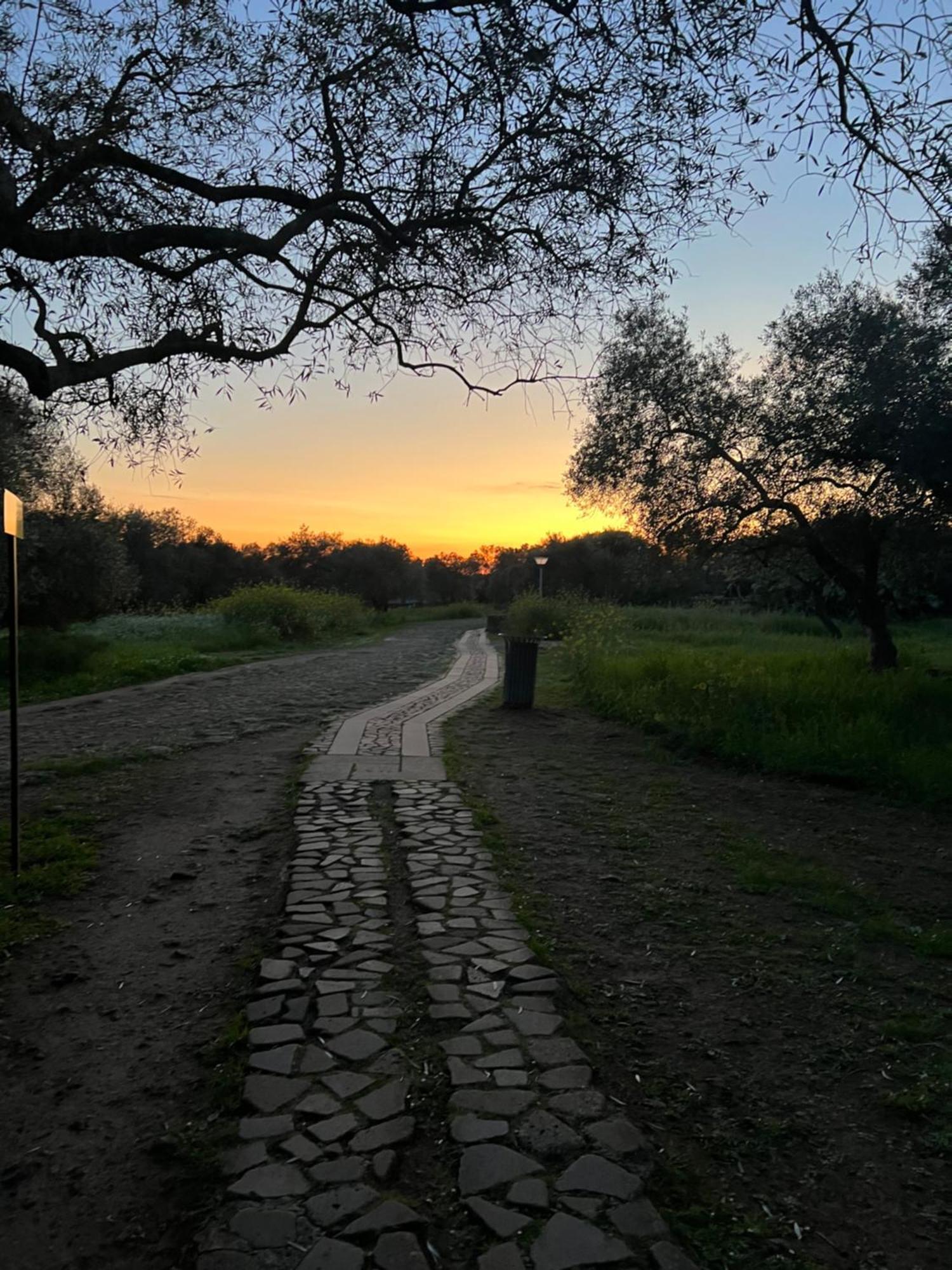 Muristene Pozzo Santa Cristina Paulilatino Екстериор снимка