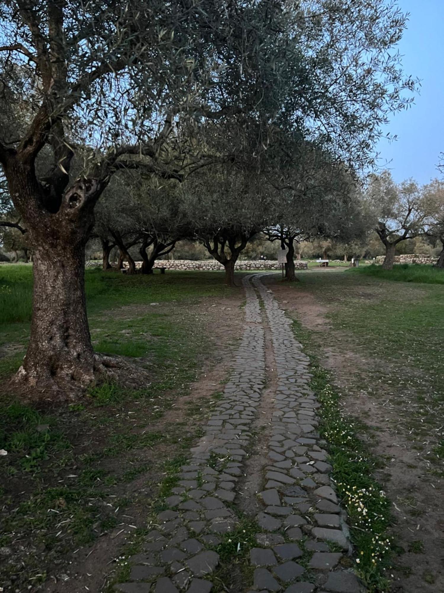 Muristene Pozzo Santa Cristina Paulilatino Екстериор снимка