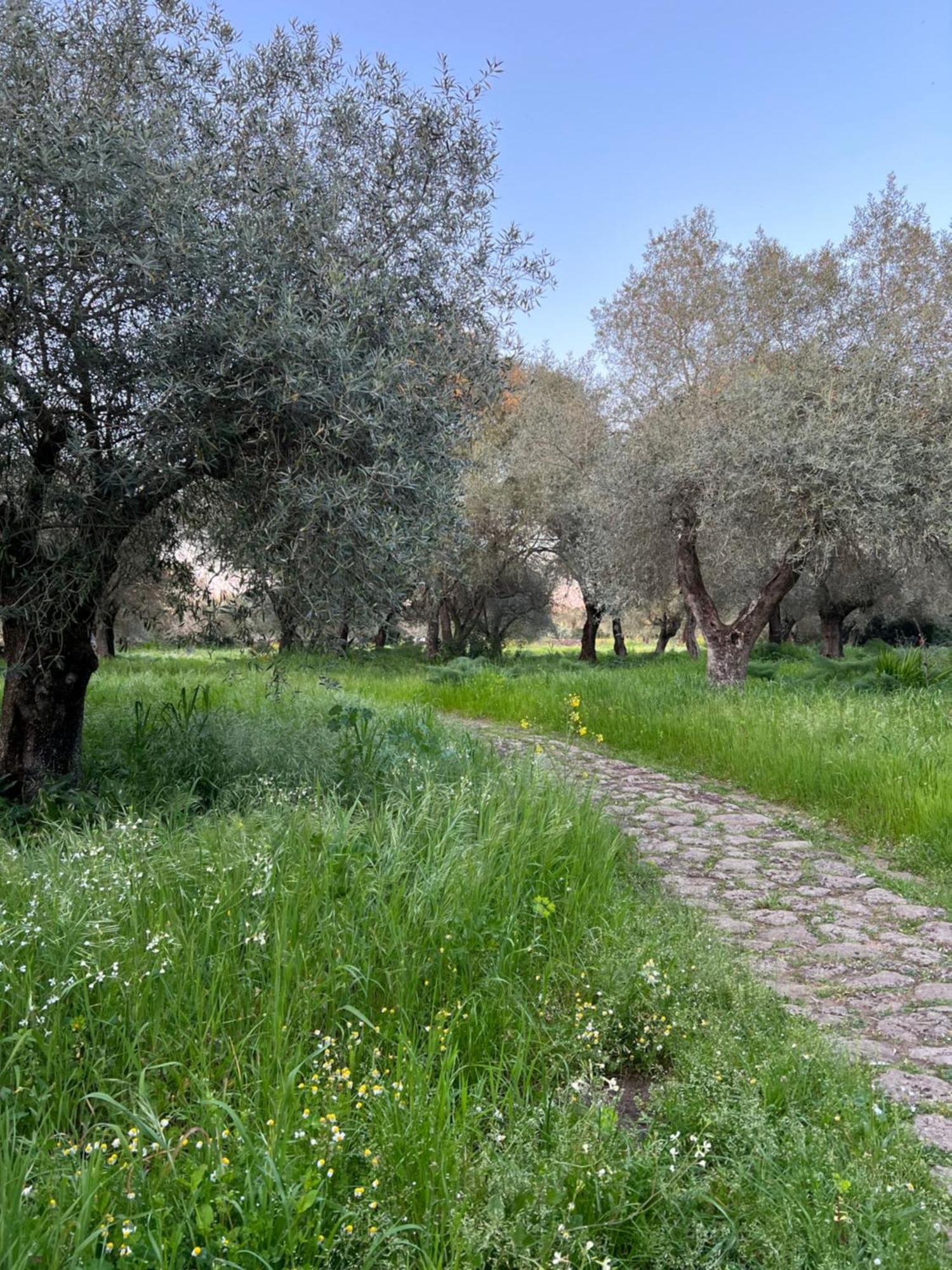 Muristene Pozzo Santa Cristina Paulilatino Екстериор снимка