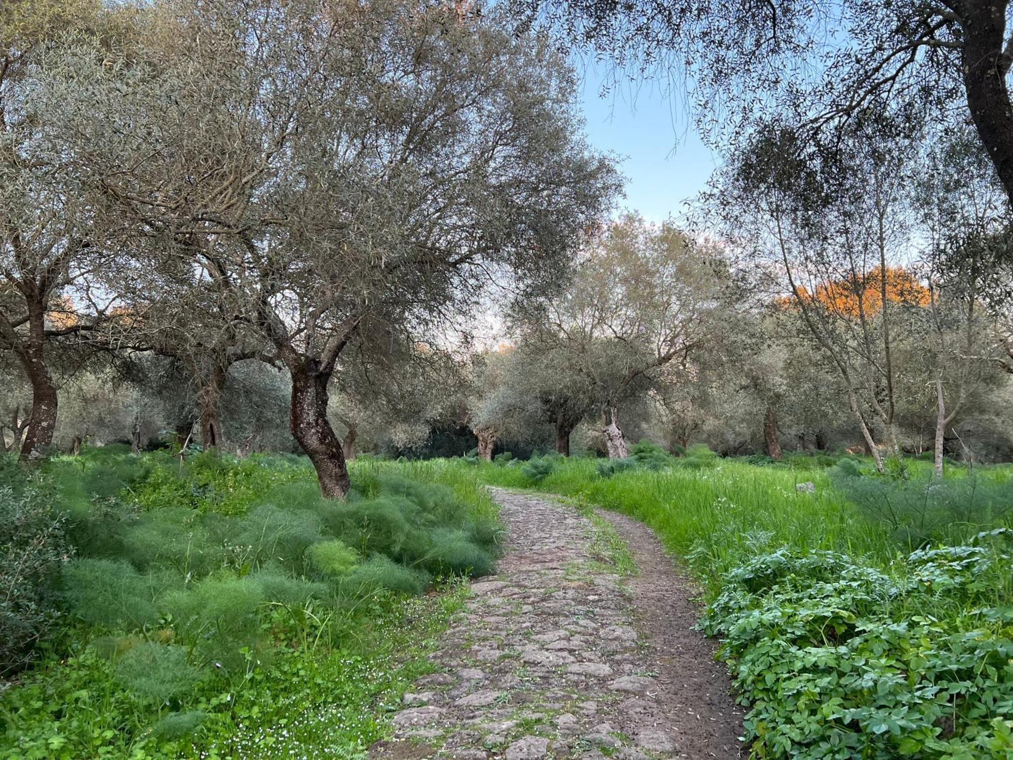 Muristene Pozzo Santa Cristina Paulilatino Екстериор снимка