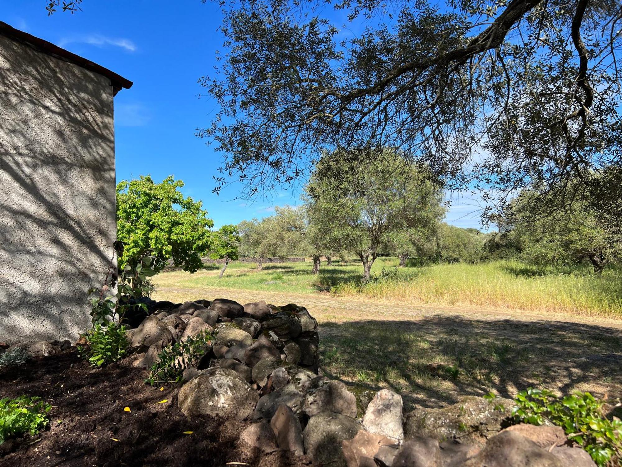 Muristene Pozzo Santa Cristina Paulilatino Екстериор снимка